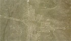 Nazca linjer
