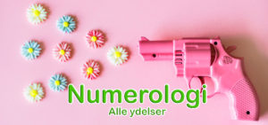 Numerologi - Alle ydelser