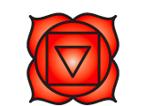 Chakra nr 1 – Rod Chakra Muladhara