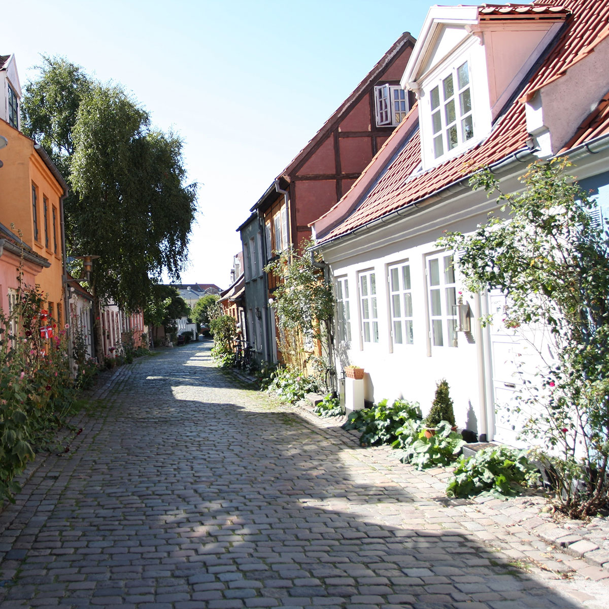 Drømmesymbol Aarhus