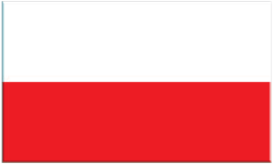 Netspirit | Polsk