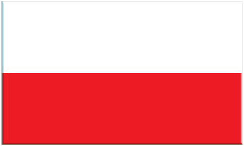 NetSpirit Polen, polsk
