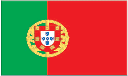 NetSpirit Portugal, portugisisk