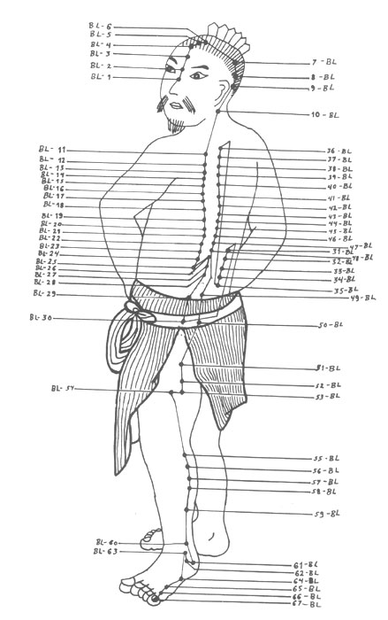 meridian-07-bladder_01