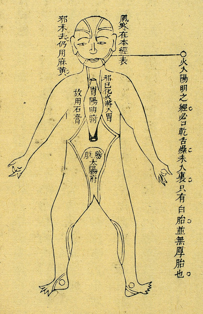 meridian-stor-014-03