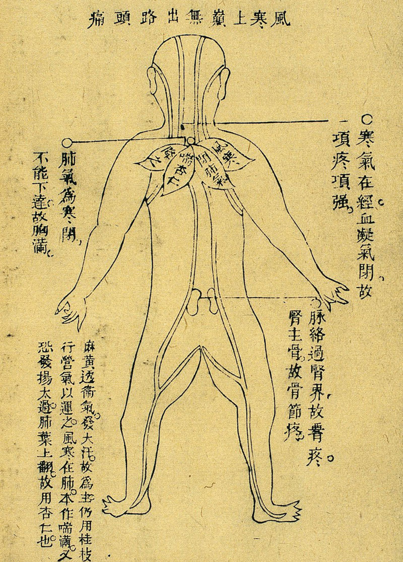 meridian-stor-014-05