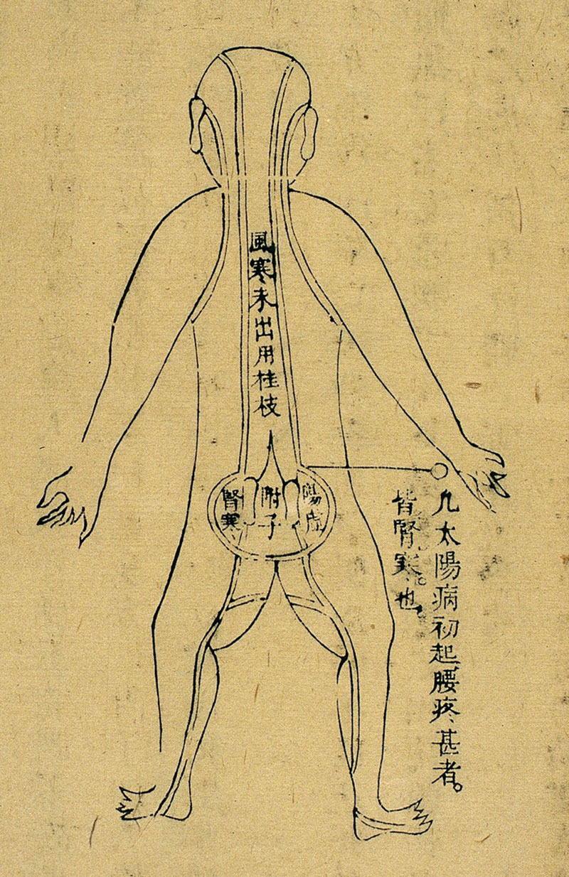 meridian-stor-014-06