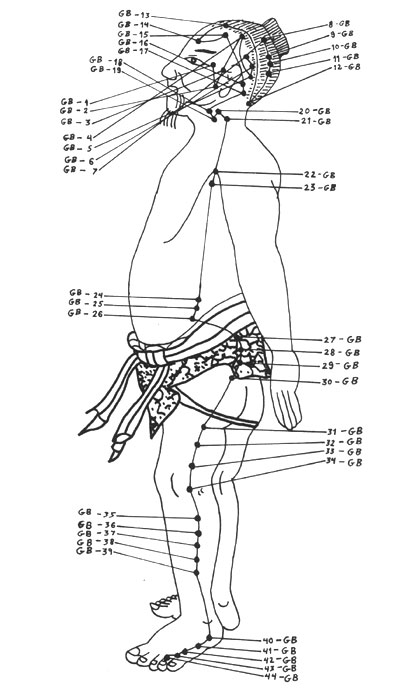 meridian_gallbladder_01