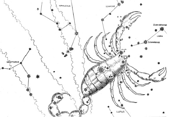 scorpius