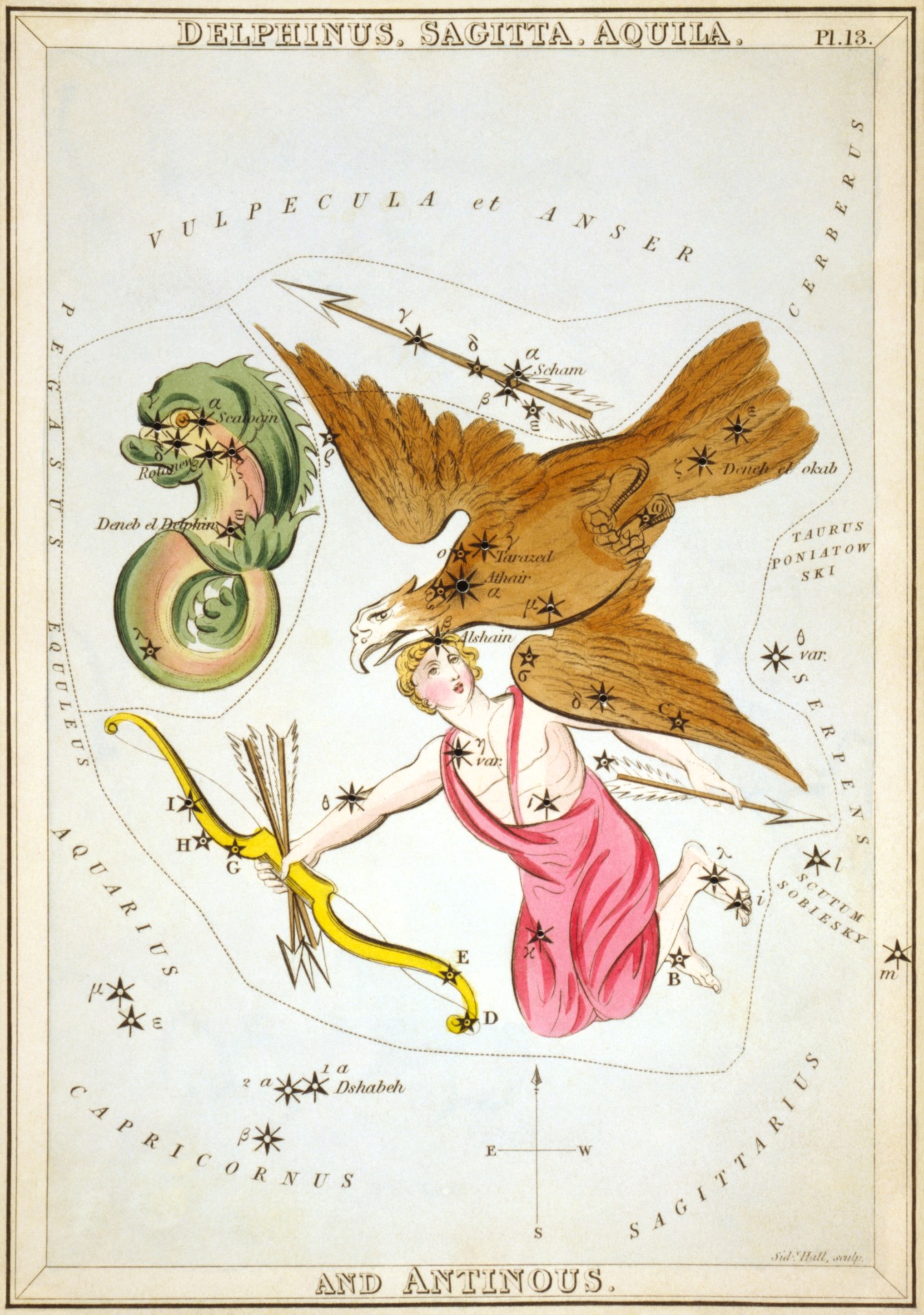 urania-plate-13