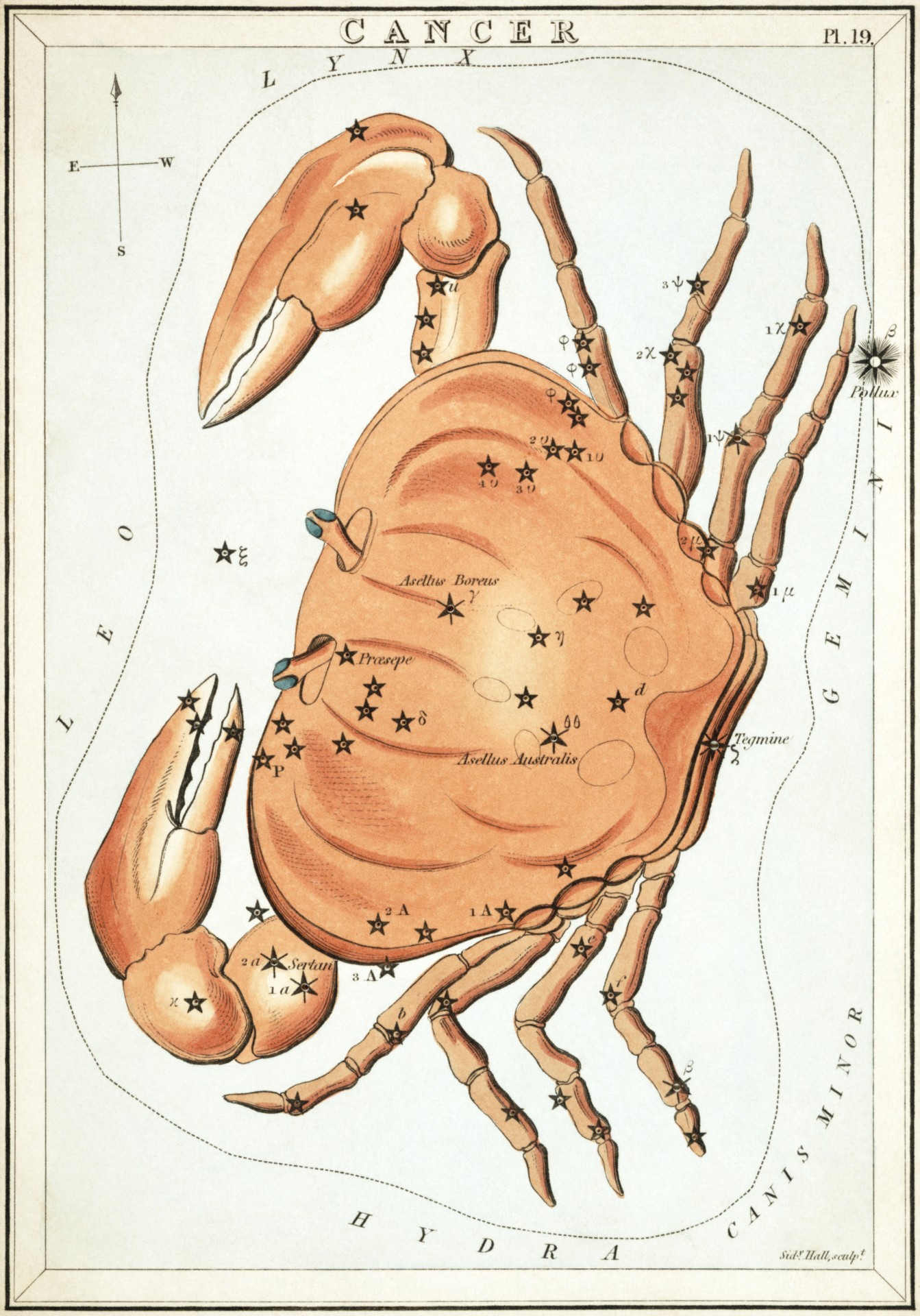 urania-plate-19