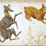 urania-plate-30
